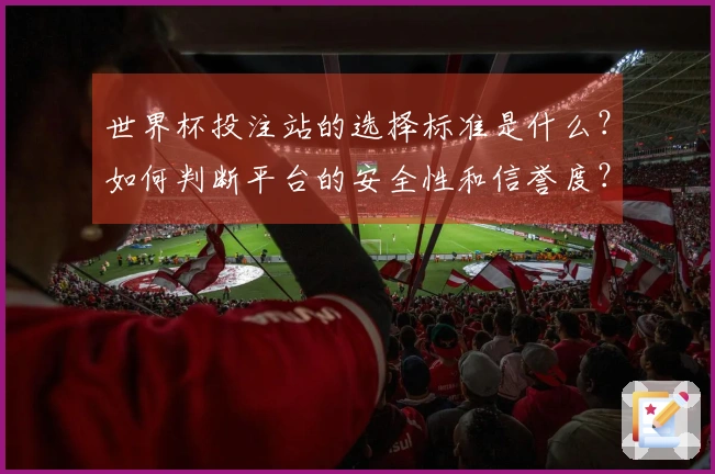 世界杯投注站的选择标准是什么?如何判断平台的安全性和信誉度?