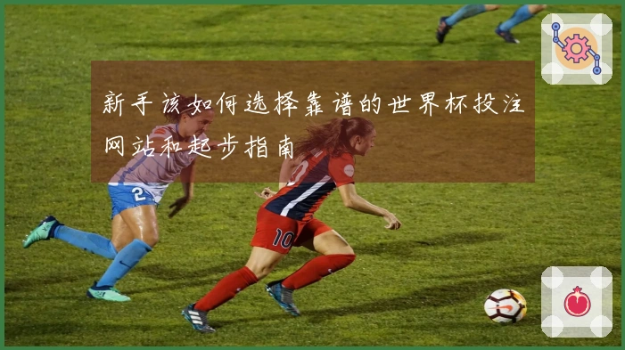 新手该如何选择靠谱的世界杯投注网站和起步指南