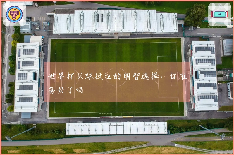 世界杯买球投注的明智选择，你准备好了吗