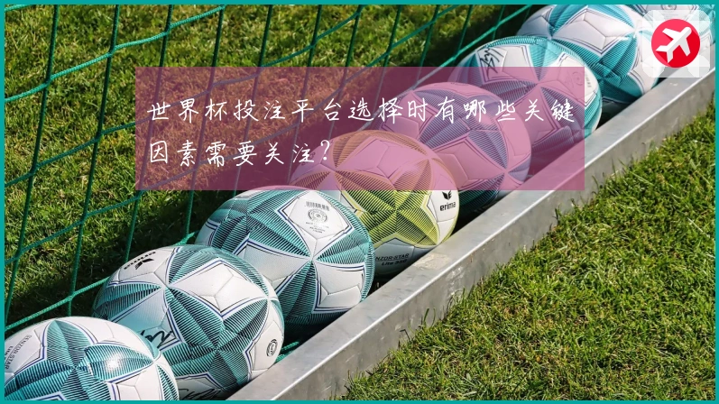 世界杯投注平台选择时有哪些关键因素需要关注？