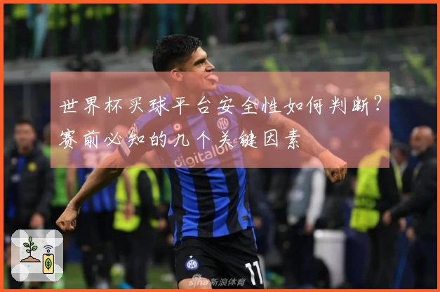 世界杯买球平台安全性如何判断？赛前必知的几个关键因素