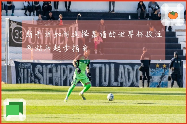 新手该如何选择靠谱的世界杯投注网站和起步指南