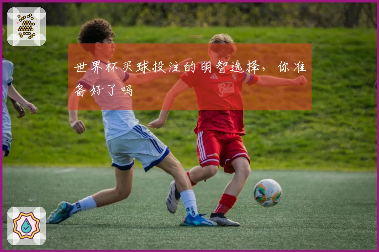 世界杯买球投注的明智选择，你准备好了吗